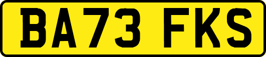 BA73FKS