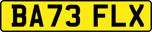 BA73FLX