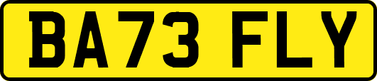 BA73FLY