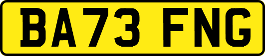 BA73FNG