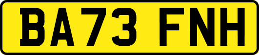 BA73FNH