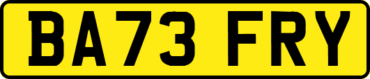 BA73FRY