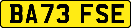 BA73FSE