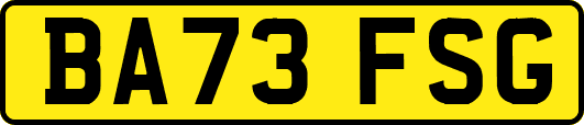 BA73FSG