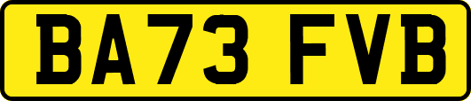 BA73FVB