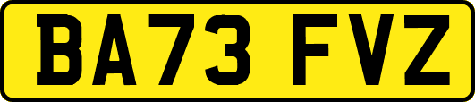 BA73FVZ