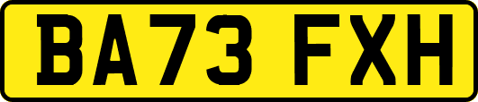 BA73FXH