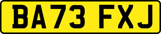 BA73FXJ