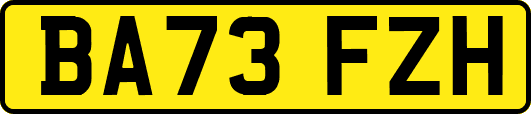 BA73FZH