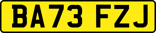 BA73FZJ