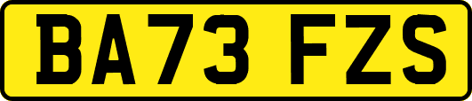 BA73FZS
