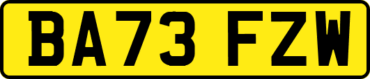 BA73FZW