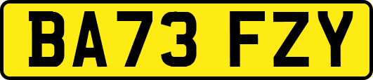 BA73FZY