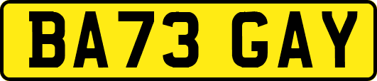BA73GAY