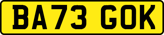 BA73GOK