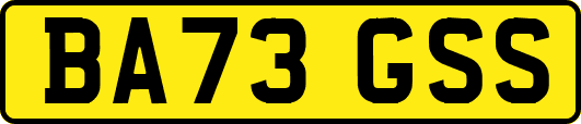BA73GSS