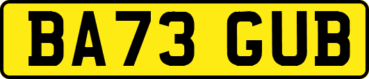 BA73GUB