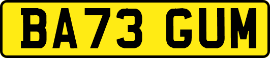 BA73GUM