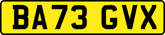 BA73GVX
