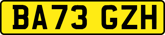 BA73GZH
