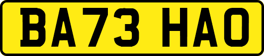 BA73HAO