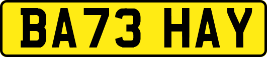 BA73HAY