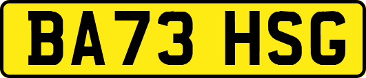 BA73HSG