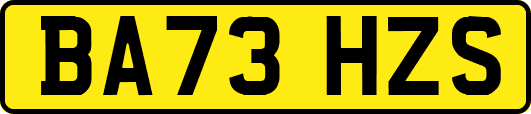 BA73HZS