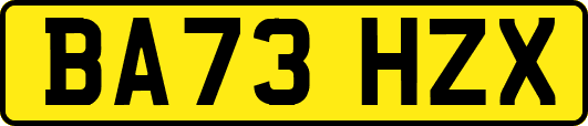 BA73HZX