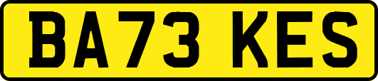 BA73KES
