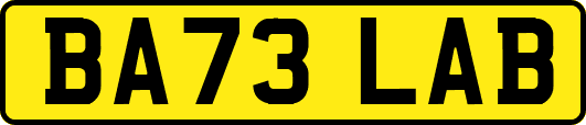 BA73LAB