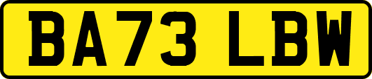 BA73LBW