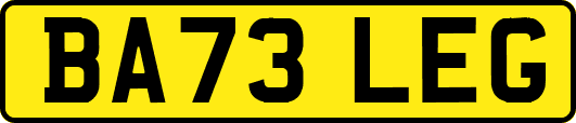 BA73LEG