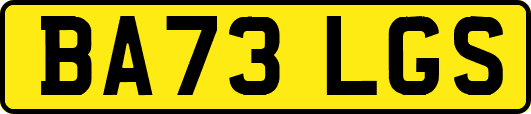 BA73LGS