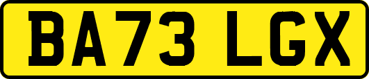 BA73LGX