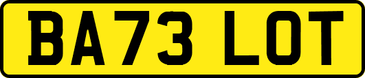 BA73LOT