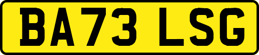 BA73LSG