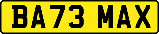 BA73MAX