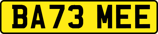BA73MEE