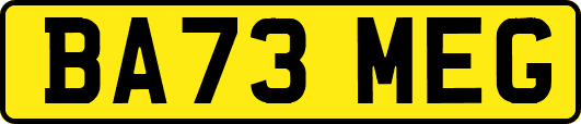 BA73MEG