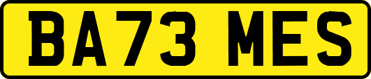 BA73MES