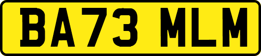 BA73MLM