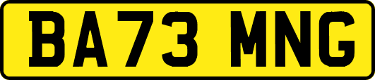 BA73MNG