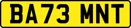 BA73MNT