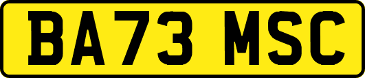BA73MSC