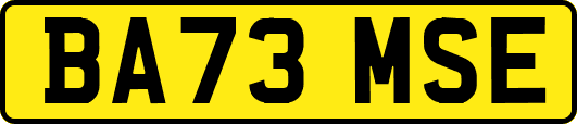 BA73MSE