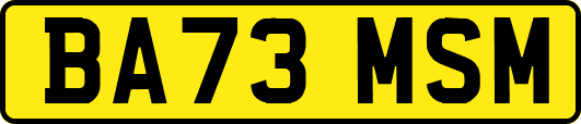 BA73MSM
