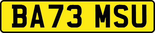 BA73MSU
