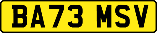 BA73MSV