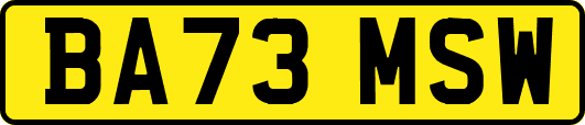 BA73MSW